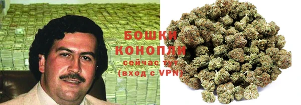 дурь Верея
